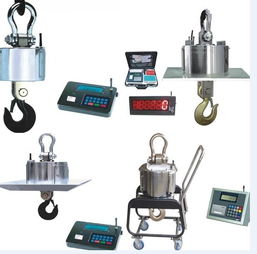 精準高效，源頭保障——3噸行車電子鉤頭秤廠家直銷，打造可靠工業稱重解決方案